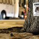 Illustration for article titled Missing mice posters are being pasted all over New York